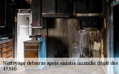 Nettoyage debarras après sinistre incendie dégât des eaux   barville-en-gatinais-45340 MD Débarras 45