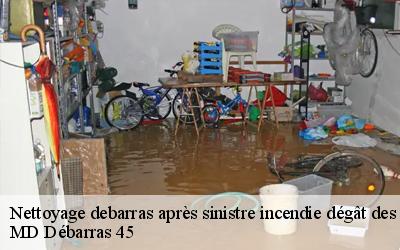 Nettoyage debarras après sinistre incendie dégât des eaux   la-chapelle-sur-aveyron-45230 MD Débarras 45